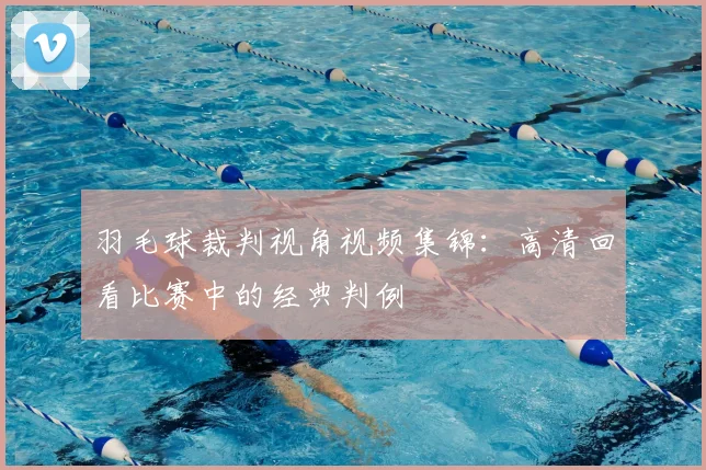 羽毛球裁判视角视频集锦:高清回看比赛中的经典判例
