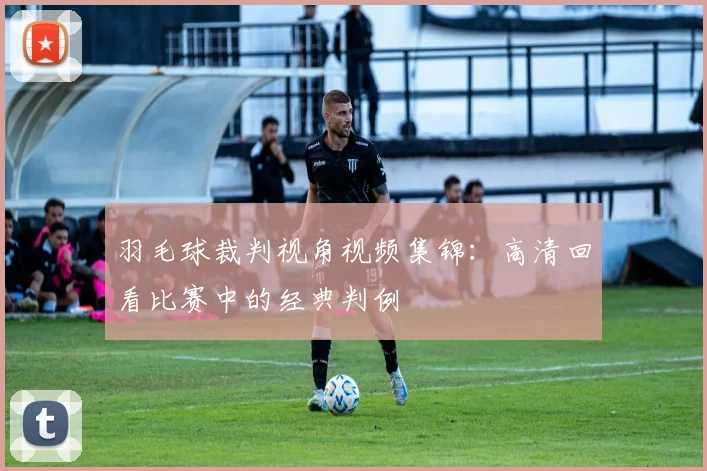 羽毛球裁判视角视频集锦：高清回看比赛中的经典判例